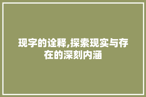 现字的诠释,探索现实与存在的深刻内涵