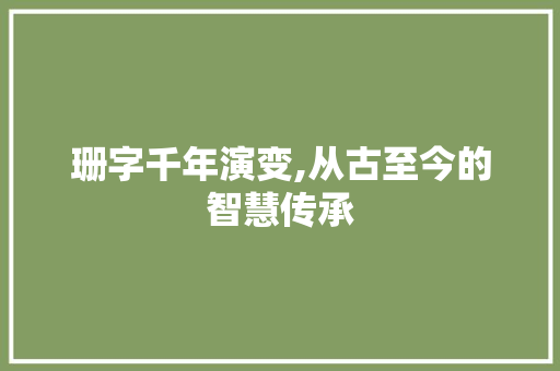 珊字千年演变,从古至今的智慧传承