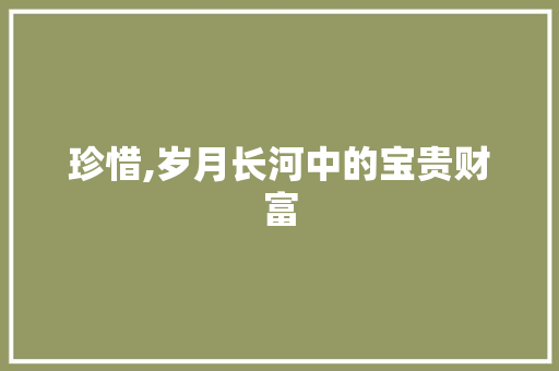 珍惜,岁月长河中的宝贵财富