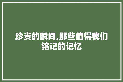 珍贵的瞬间,那些值得我们铭记的记忆