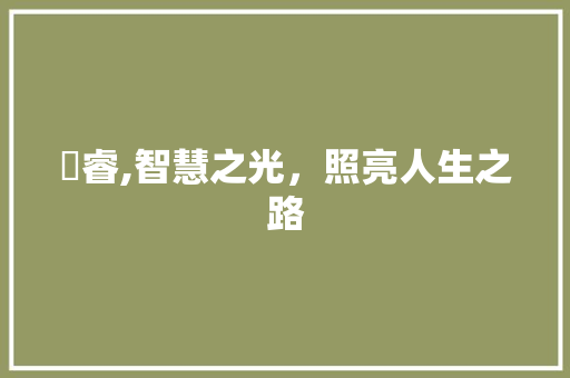 珺睿,智慧之光，照亮人生之路