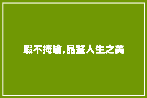 瑕不掩瑜,品鉴人生之美