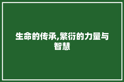 生命的传承,繁衍的力量与智慧
