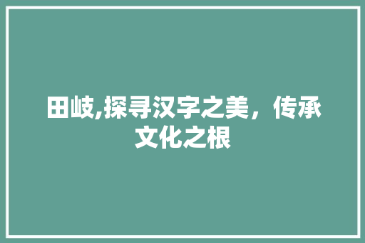 田岐,探寻汉字之美，传承文化之根