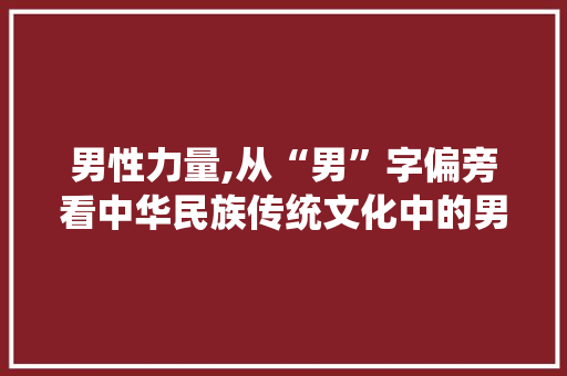 男性力量,从“男”字偏旁看中华民族传统文化中的男性角色