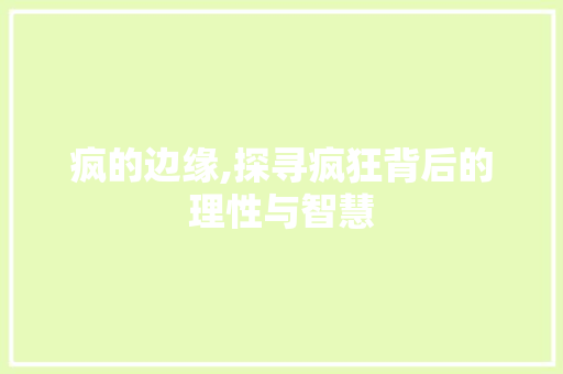 疯的边缘,探寻疯狂背后的理性与智慧