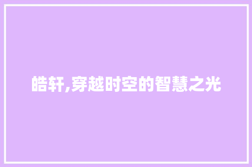 皓轩,穿越时空的智慧之光