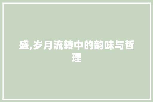盛,岁月流转中的韵味与哲理