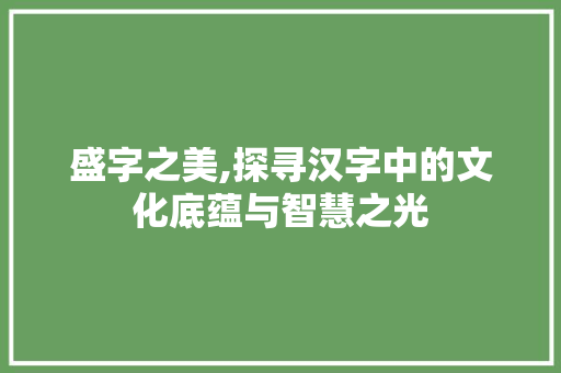 盛字之美,探寻汉字中的文化底蕴与智慧之光