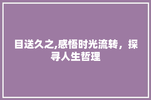 目送久之,感悟时光流转，探寻人生哲理