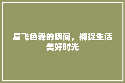 眉飞色舞的瞬间，捕捉生活美好时光
