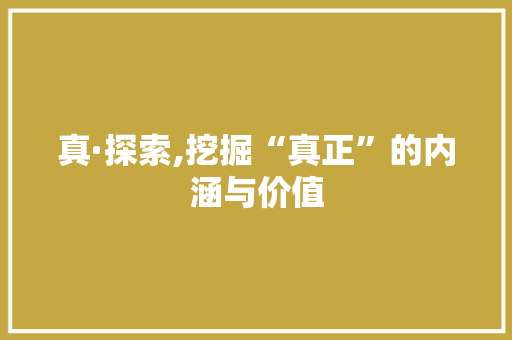 真·探索,挖掘“真正”的内涵与价值