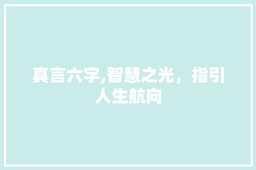 真言六字,智慧之光，指引人生航向