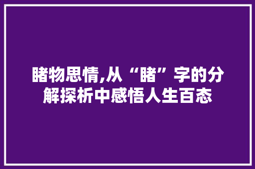 睹物思情,从“睹”字的分解探析中感悟人生百态