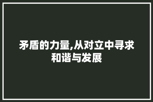矛盾的力量,从对立中寻求和谐与发展