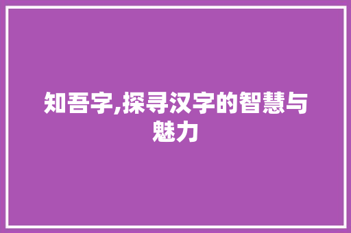 知吾字,探寻汉字的智慧与魅力
