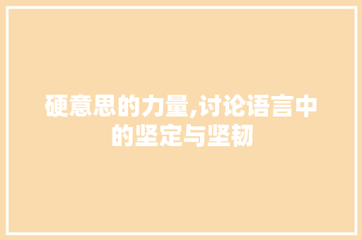 硬意思的力量,讨论语言中的坚定与坚韧