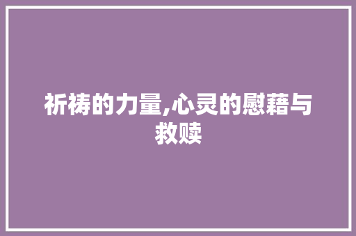 祈祷的力量,心灵的慰藉与救赎