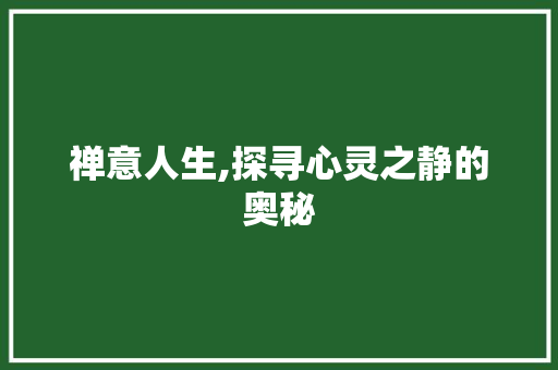 禅意人生,探寻心灵之静的奥秘