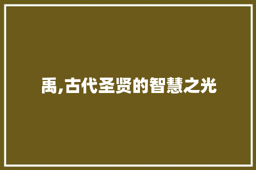 禹,古代圣贤的智慧之光