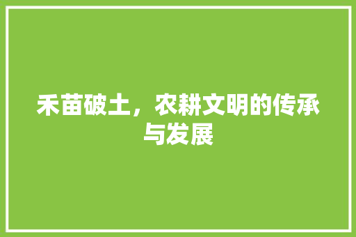 禾苗破土，农耕文明的传承与发展