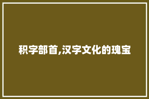 积字部首,汉字文化的瑰宝