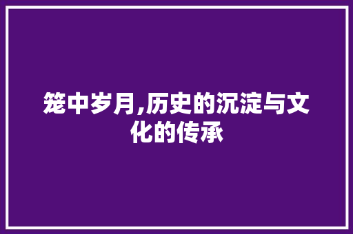 笼中岁月,历史的沉淀与文化的传承