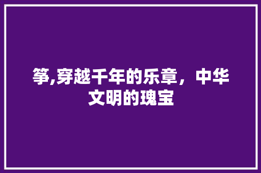 筝,穿越千年的乐章，中华文明的瑰宝