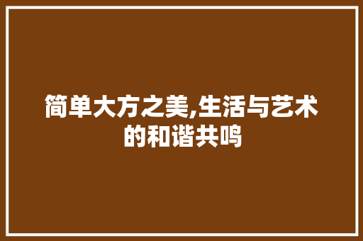 简单大方之美,生活与艺术的和谐共鸣