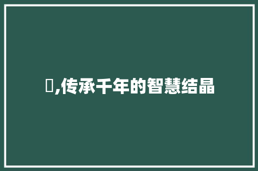 簑,传承千年的智慧结晶