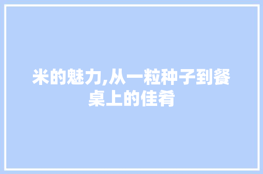 米的魅力,从一粒种子到餐桌上的佳肴