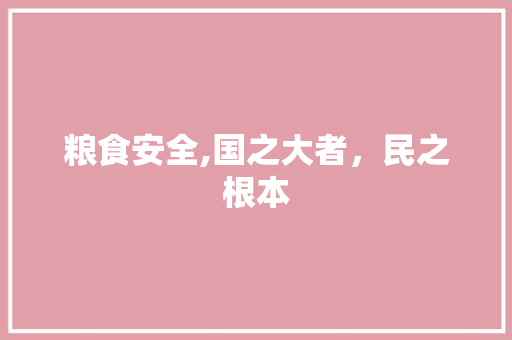 粮食安全,国之大者，民之根本