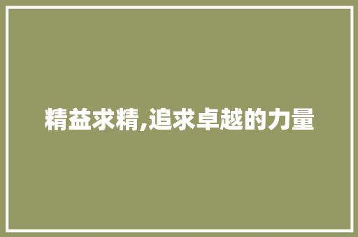 精益求精,追求卓越的力量
