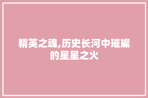 精英之魂,历史长河中璀璨的星星之火