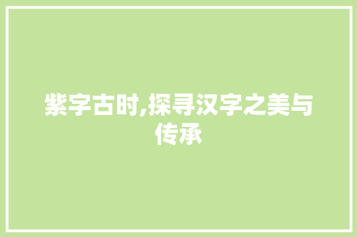 紫字古时,探寻汉字之美与传承