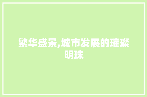 繁华盛景,城市发展的璀璨明珠