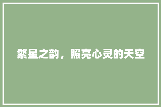 繁星之韵，照亮心灵的天空