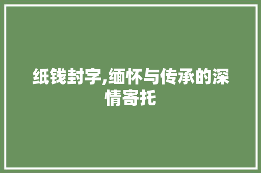 纸钱封字,缅怀与传承的深情寄托