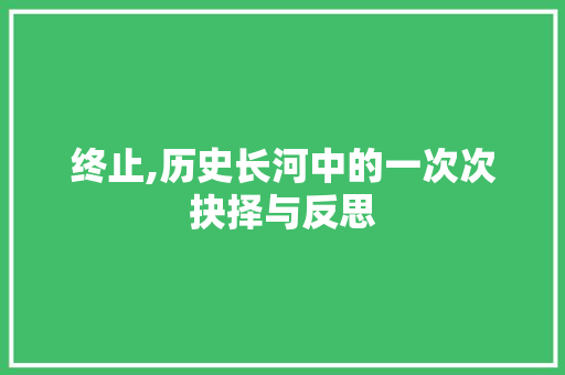 终止,历史长河中的一次次抉择与反思