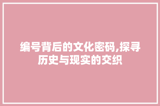 编号背后的文化密码,探寻历史与现实的交织