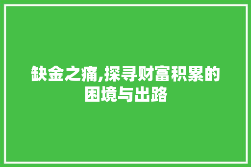 缺金之痛,探寻财富积累的困境与出路