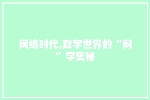 网络时代,数字世界的“网”字奥秘