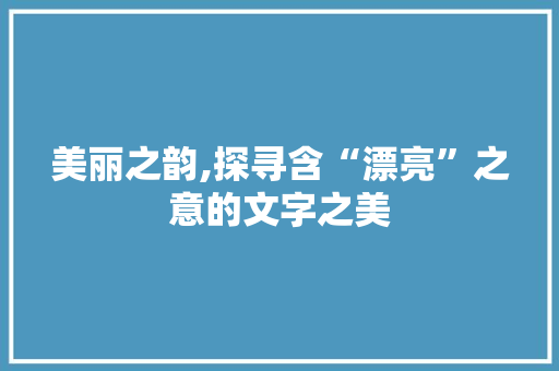 美丽之韵,探寻含“漂亮”之意的文字之美
