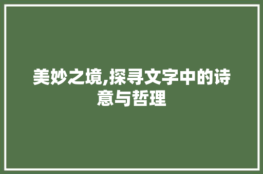 美妙之境,探寻文字中的诗意与哲理