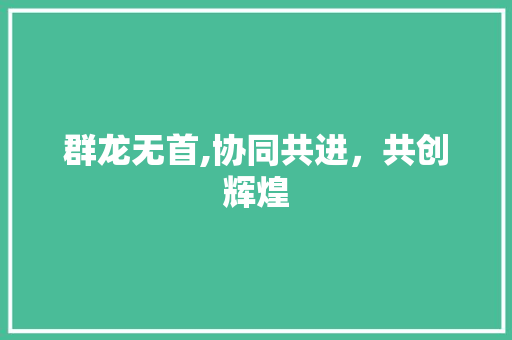 群龙无首,协同共进，共创辉煌