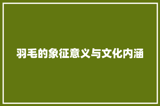 羽毛的象征意义与文化内涵