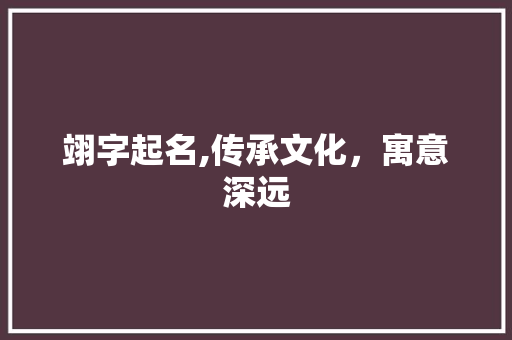 翊字起名,传承文化，寓意深远