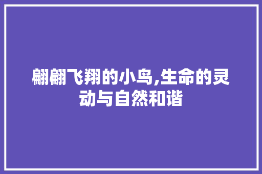 翩翩飞翔的小鸟,生命的灵动与自然和谐