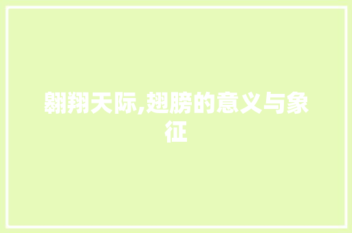 翱翔天际,翅膀的意义与象征