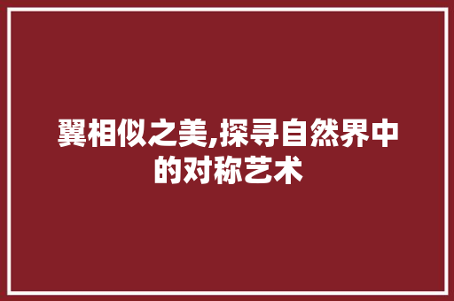 翼相似之美,探寻自然界中的对称艺术